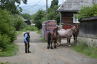 Sakta går vi genom byn Glod i Maramures, Rumänien.